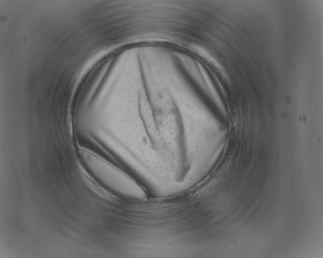 X0000077381372200611031926