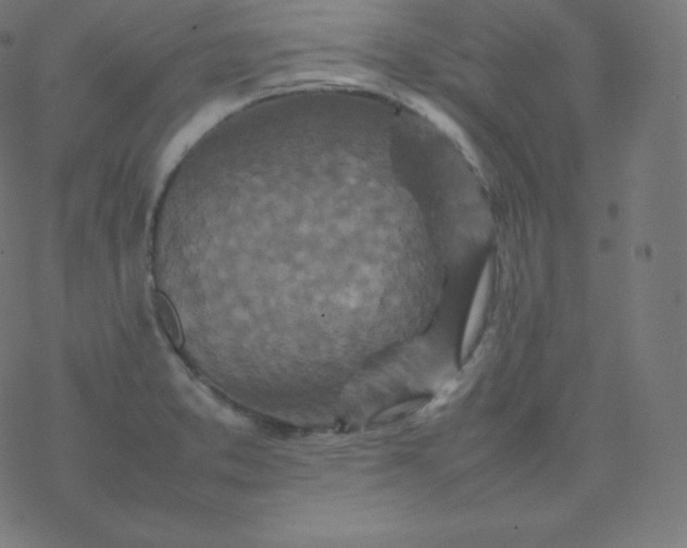 X0000077381373200611031926