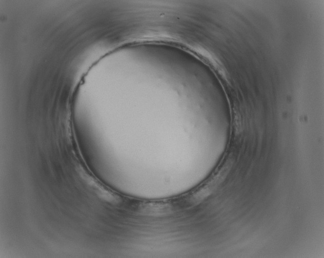 X0000077381374200611031926