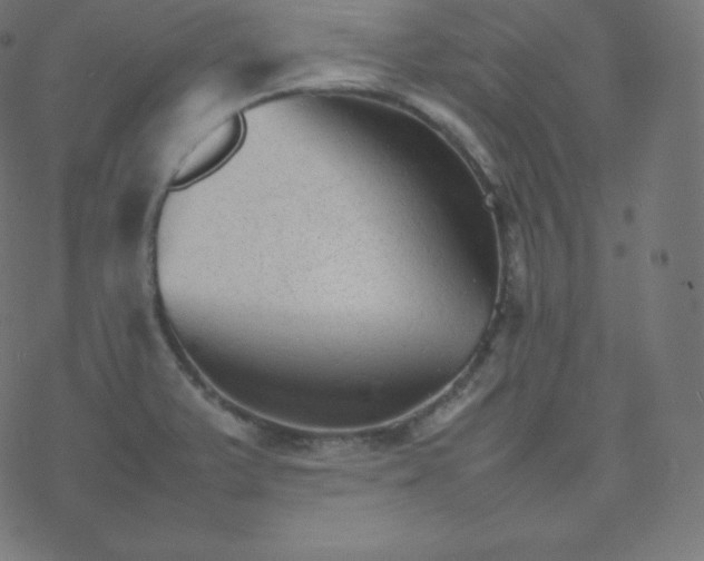 X0000077381375200611031926