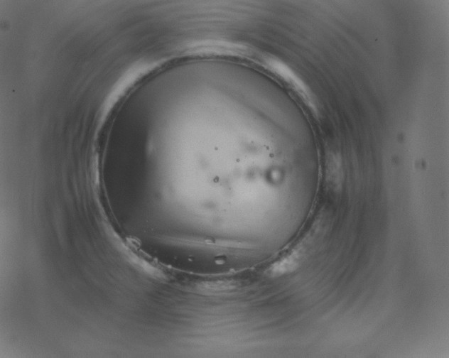 X0000077381376200611031926