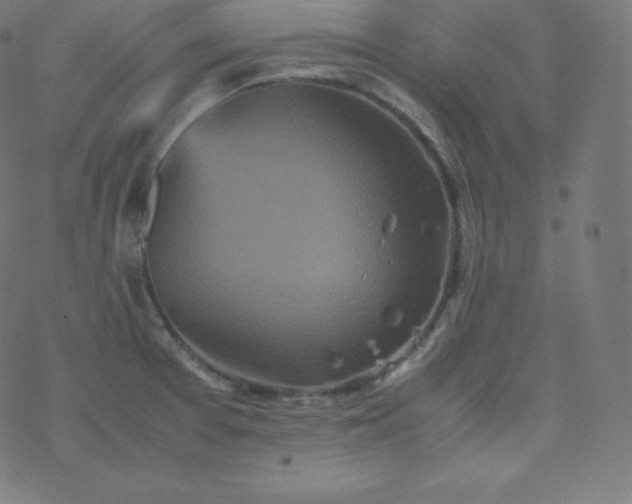 X0000077381377200611031926