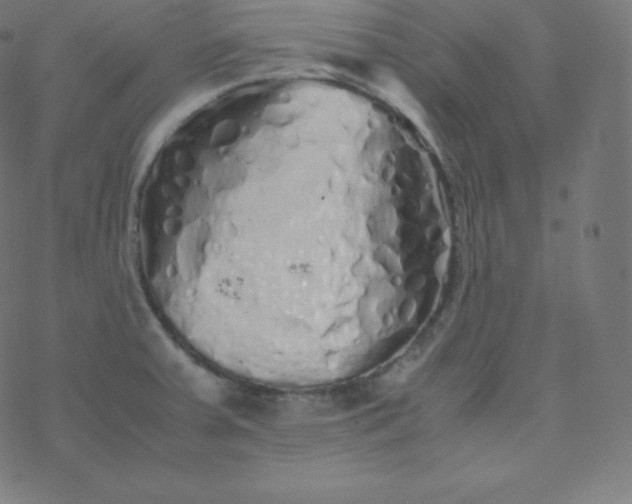 X0000077381379200611031925