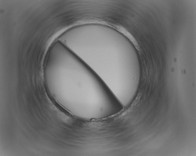 X0000077381380200611031925