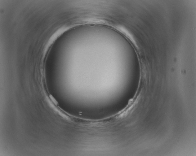 X0000077381381200611031925