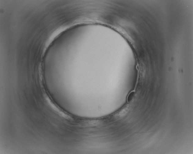 X0000077381382200611031925