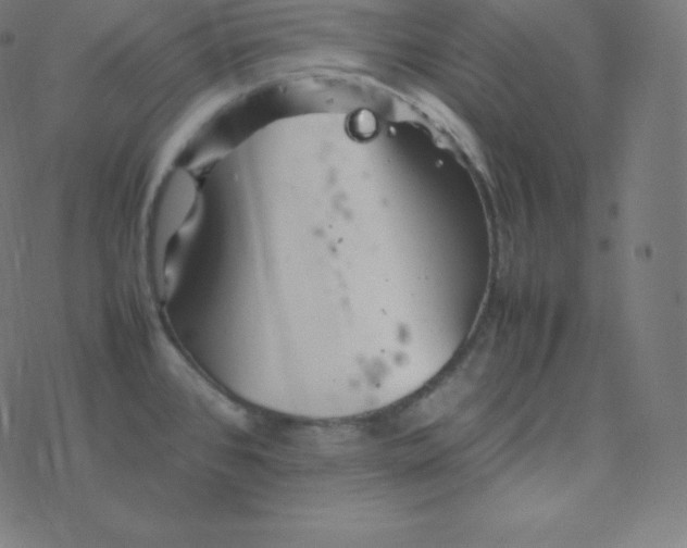 X0000077381384200611031925