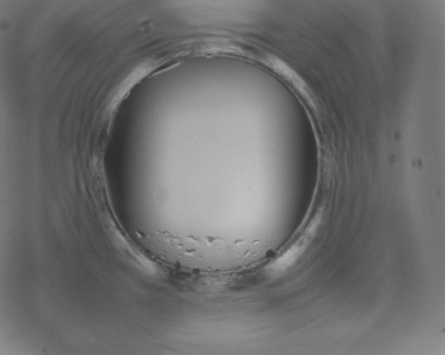 X0000077381385200611031925