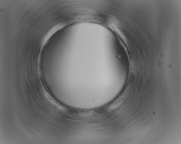 X0000077381386200611031925