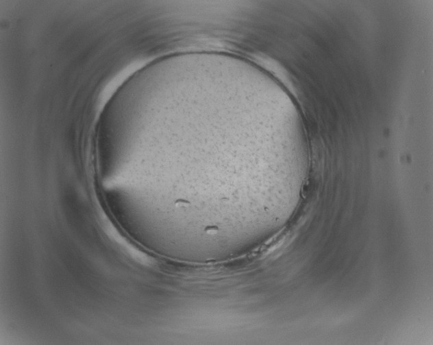 X0000077381387200611031925