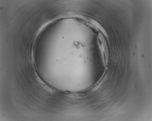 X0000077381388200611031925