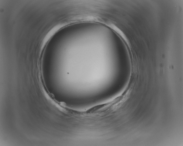 X0000077381389200611031925