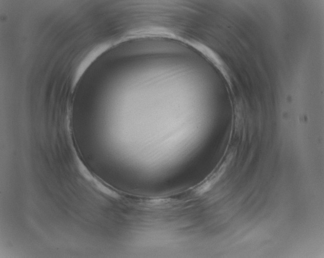 X0000077381390200611031925