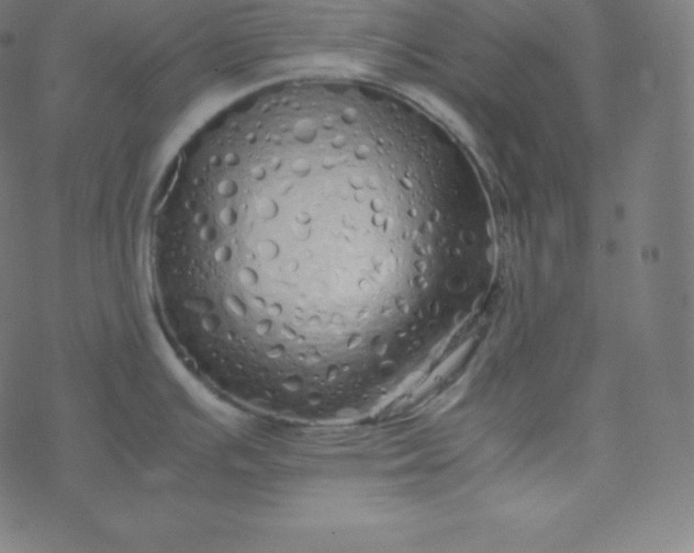 X0000077381391200611031925