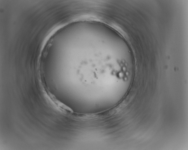 X0000077381392200611031925