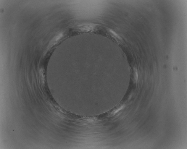 X0000077381394200611031924