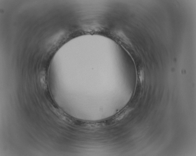 X0000077381396200611031925