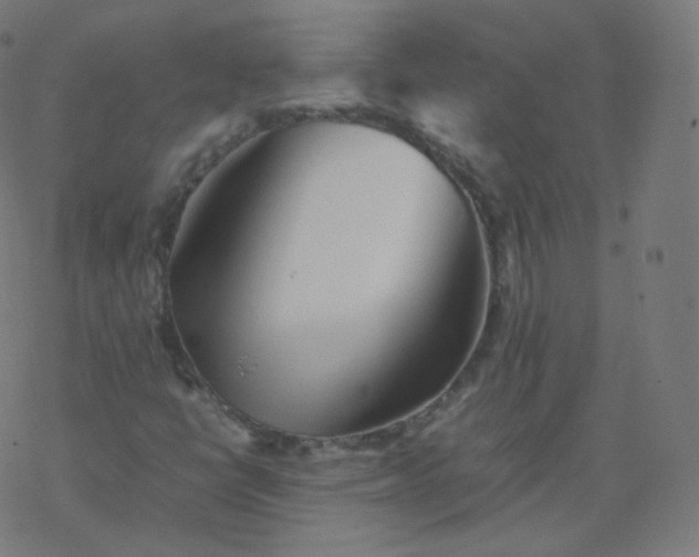 X0000077381398200611031925