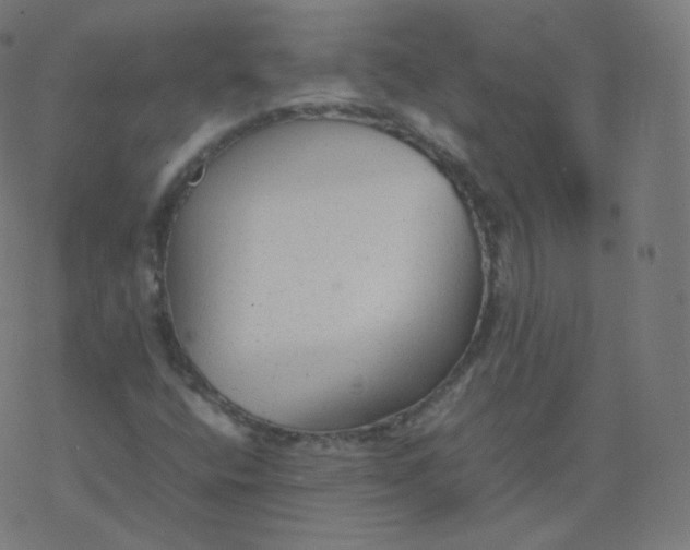 X0000077381400200611031925