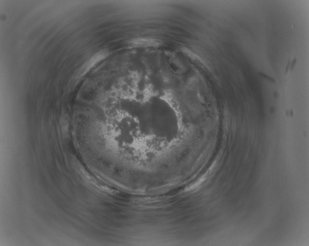 X0000077381401200611031925