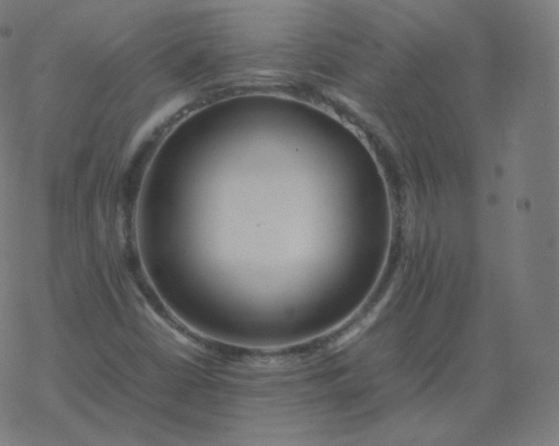 X0000077381402200611031925