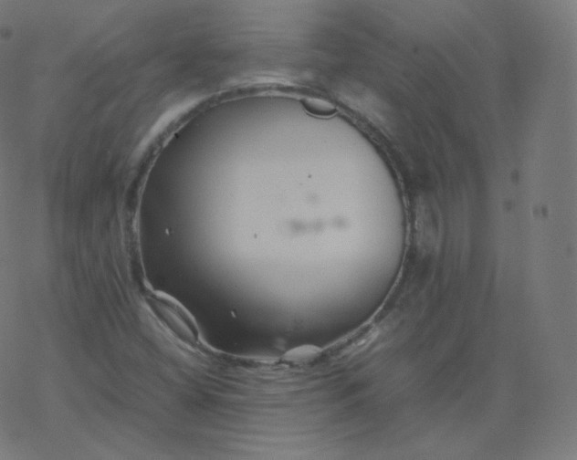 X0000077381404200611031925