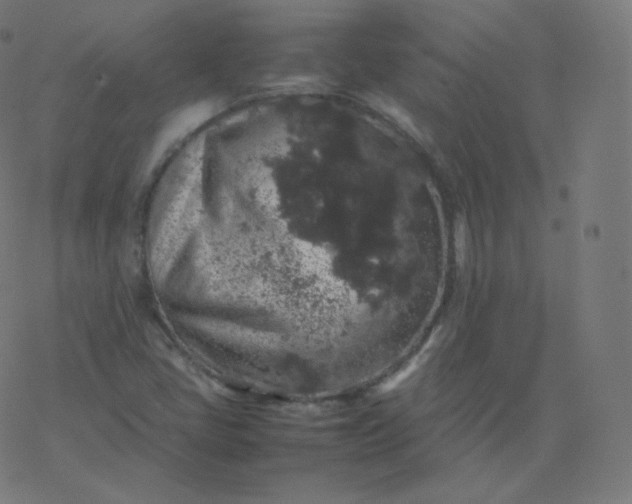 X0000077381405200611031925