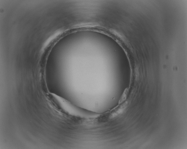 X0000077381406200611031925