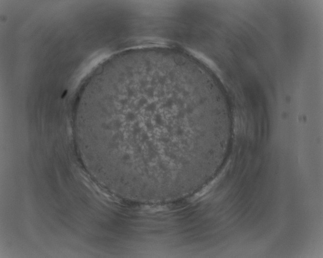 X0000077381407200611031925