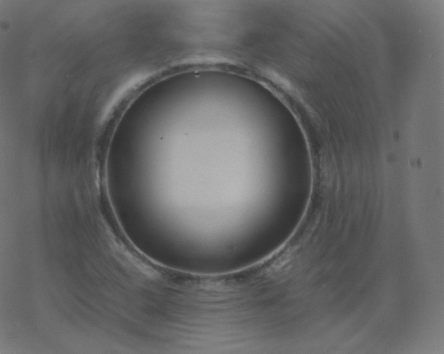 X0000077381408200611031925