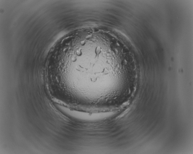 X0000077381409200611031925