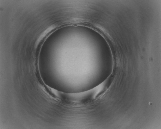 X0000077381410200611031925