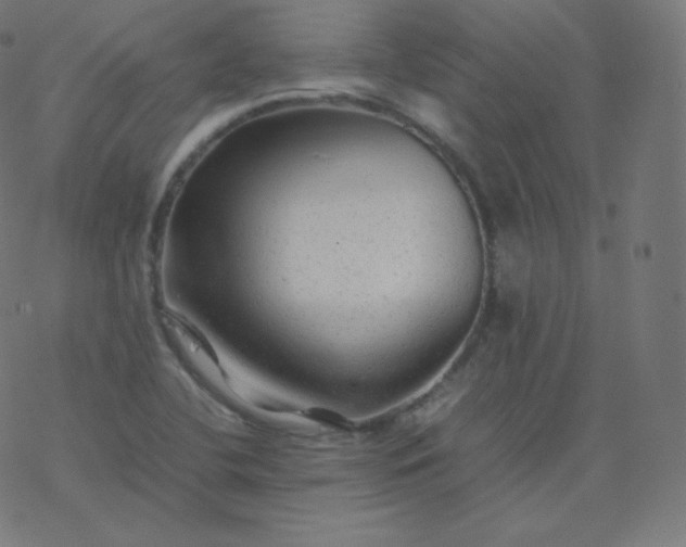 X0000077381412200611031925