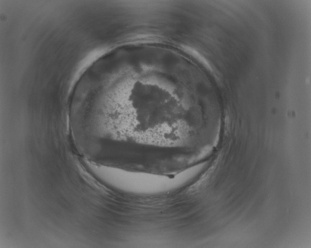 X0000077381413200611031925