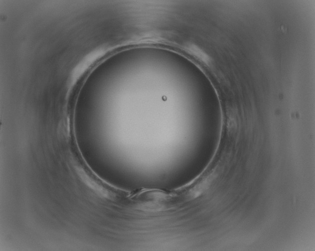 X0000077381414200611031925