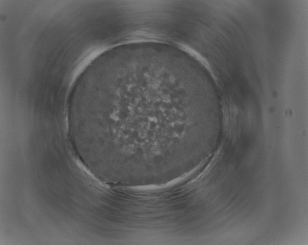 X0000077381415200611031925