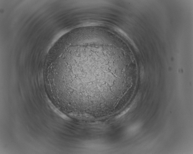 X0000077381417200611031925