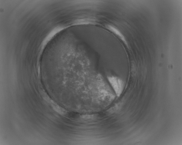 X0000077381419200611031925