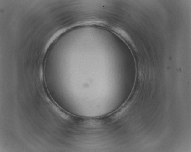 X0000077381420200611031925