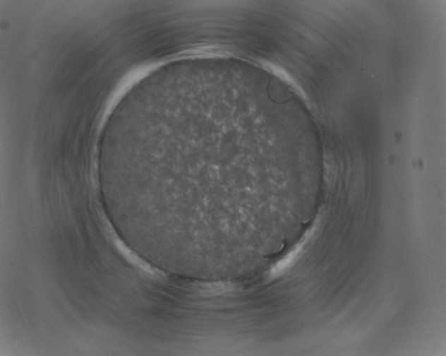 X0000077381421200611031925