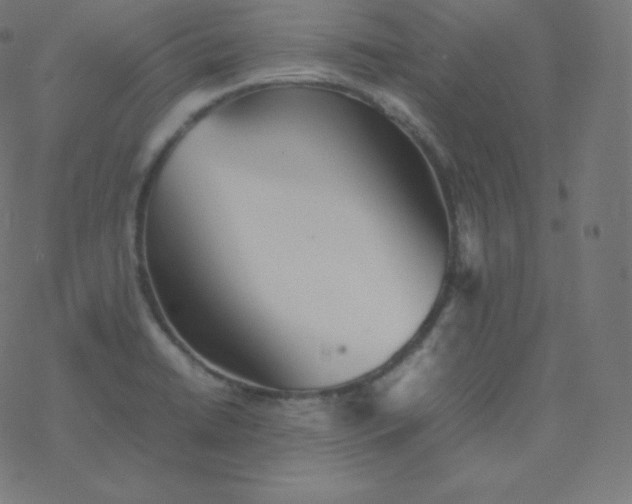 X0000077381422200611031925