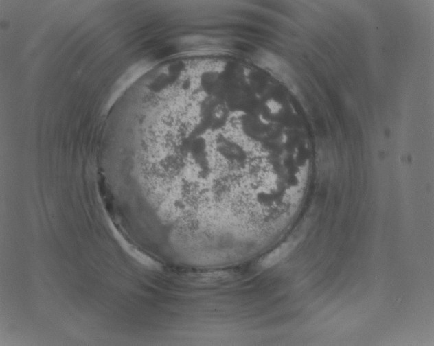 X0000077381425200611031925