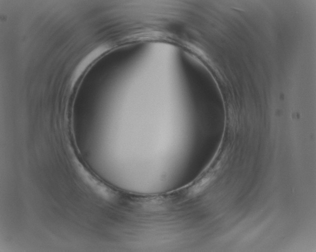 X0000077381426200611031925