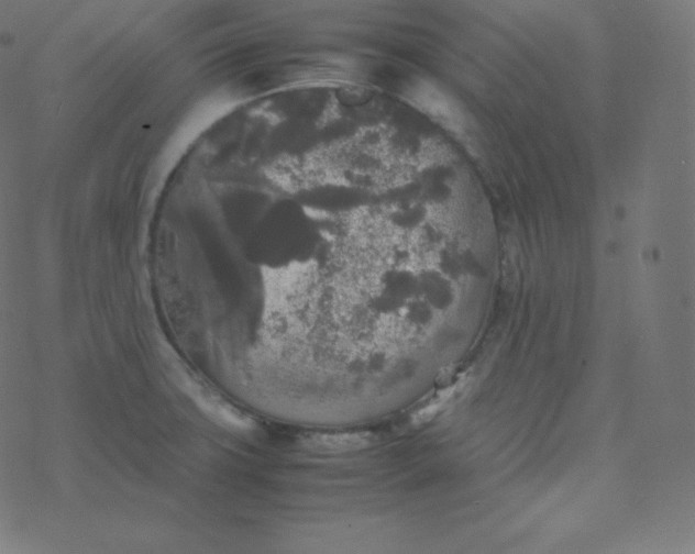 X0000077381427200611031925