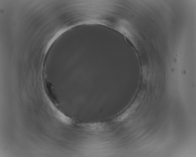 X0000077381428200611031925