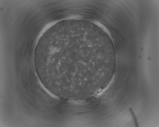 X0000077381429200611031925