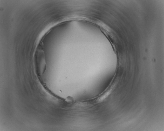 X0000077381430200611031925