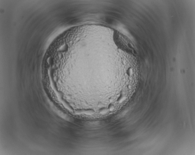 X0000077381431200611031925