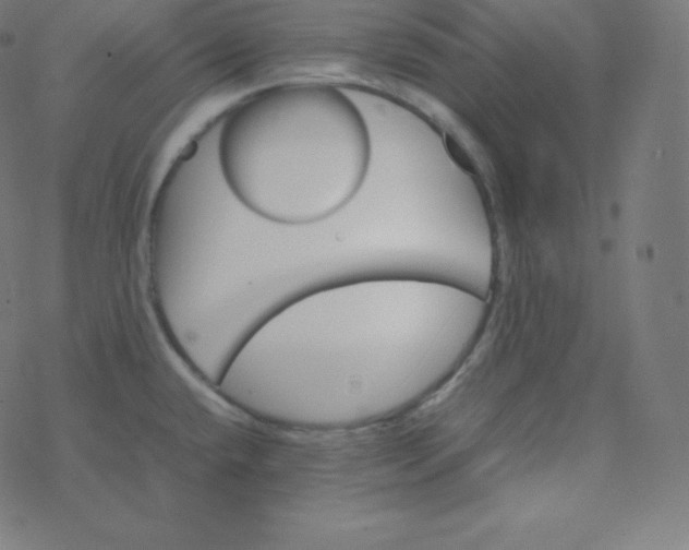 X0000077381432200611031925