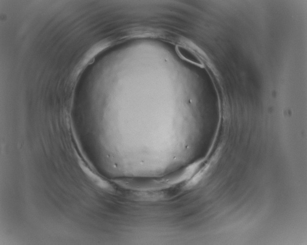 X0000077381433200611031925